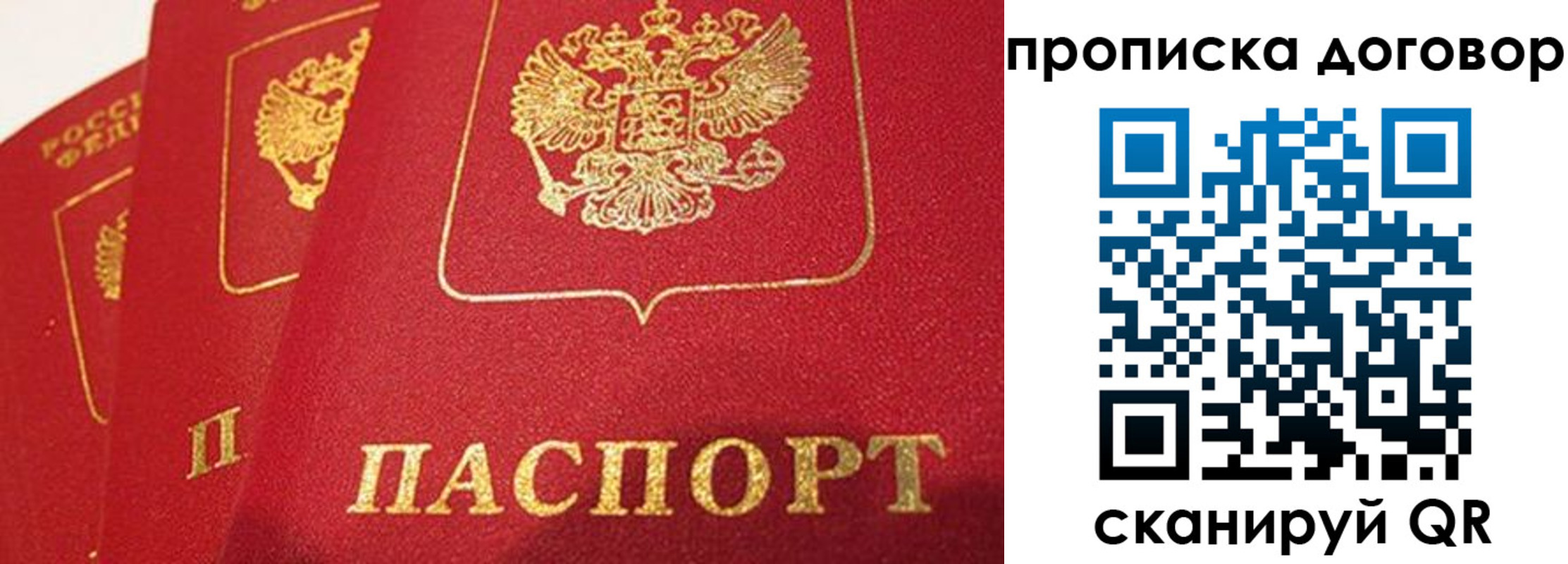 временная регистрация госуслуги в Александровске